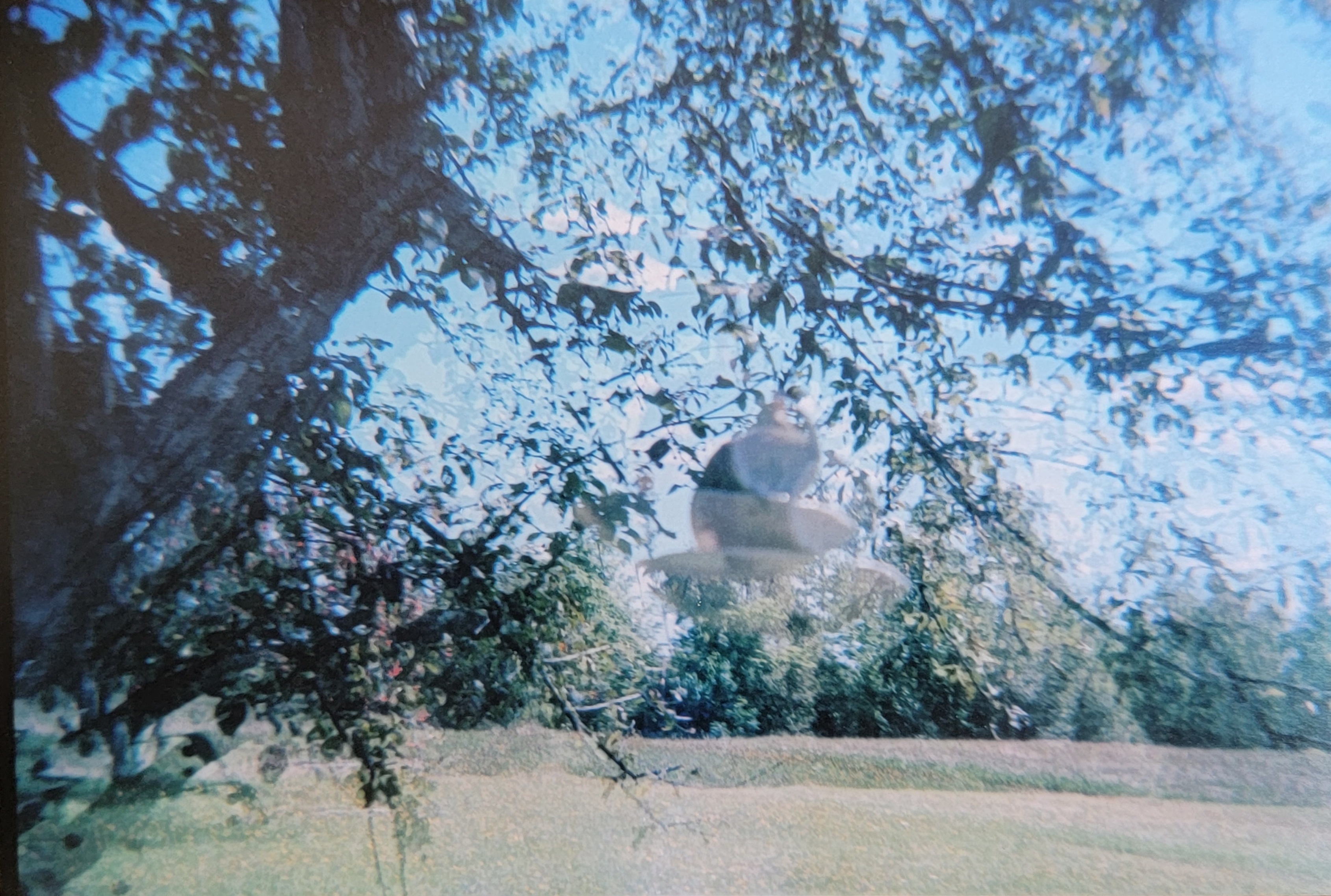 Holga3